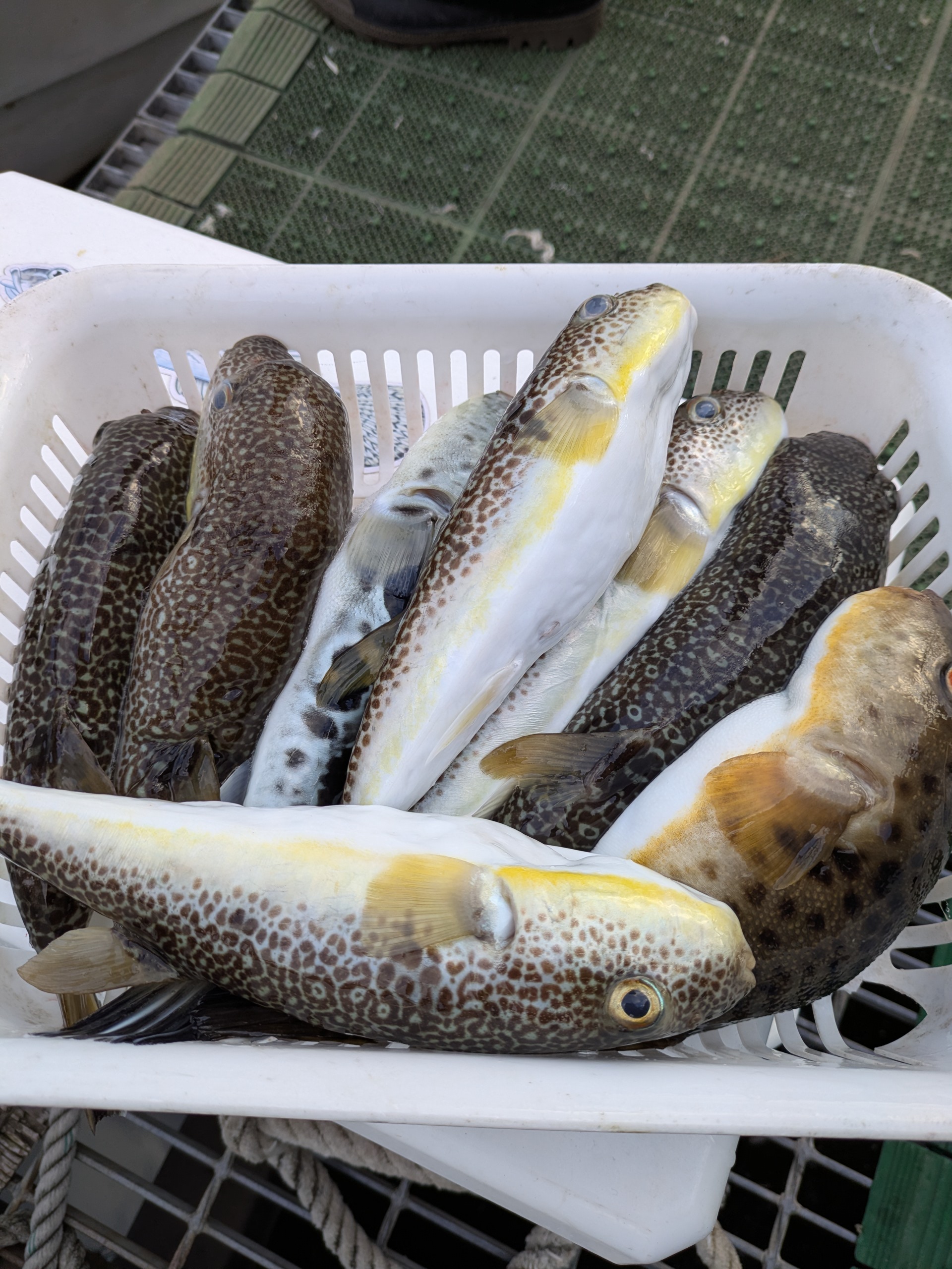 PXL_20251122_064318145