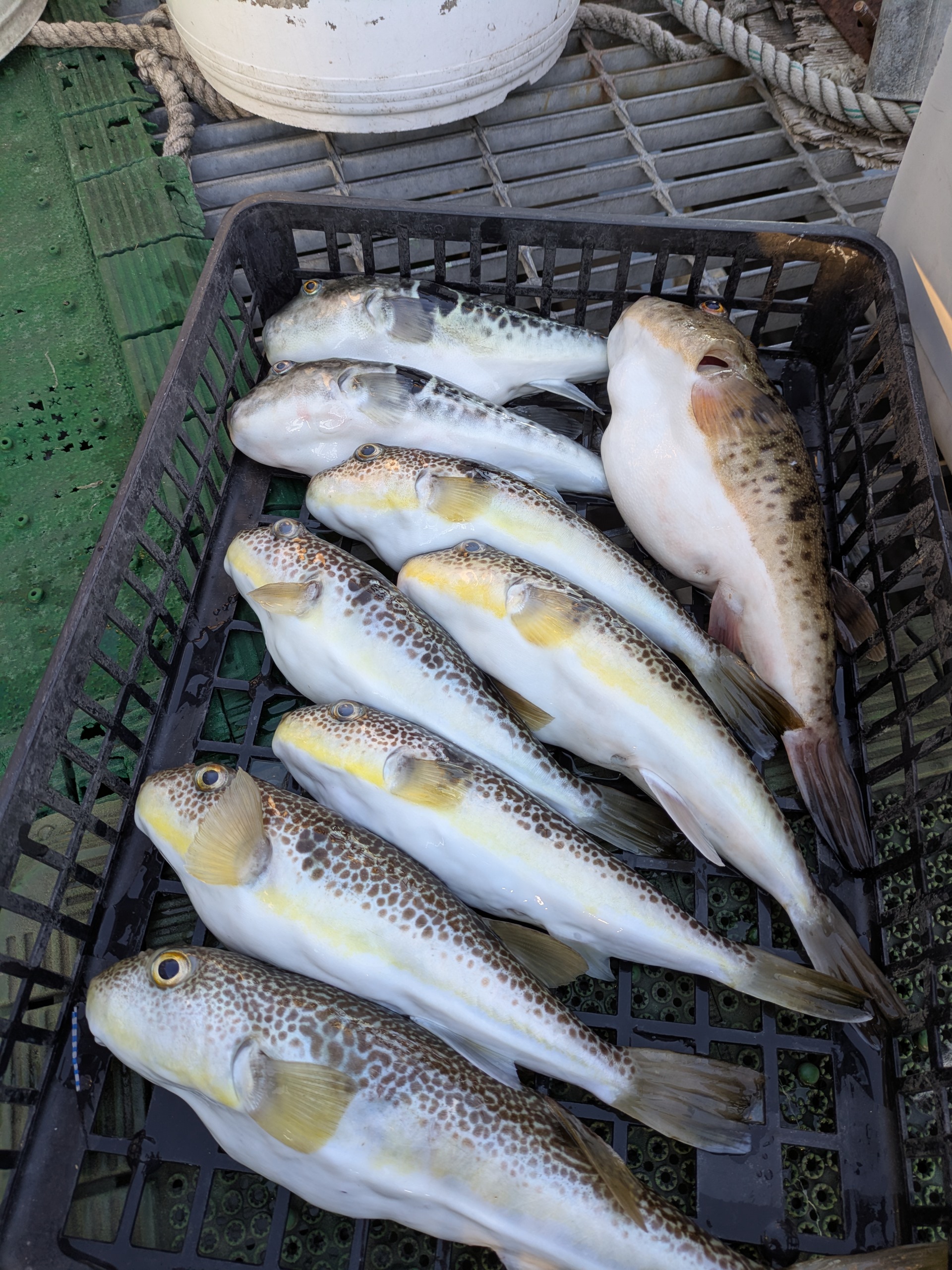 PXL_20251205_064511307