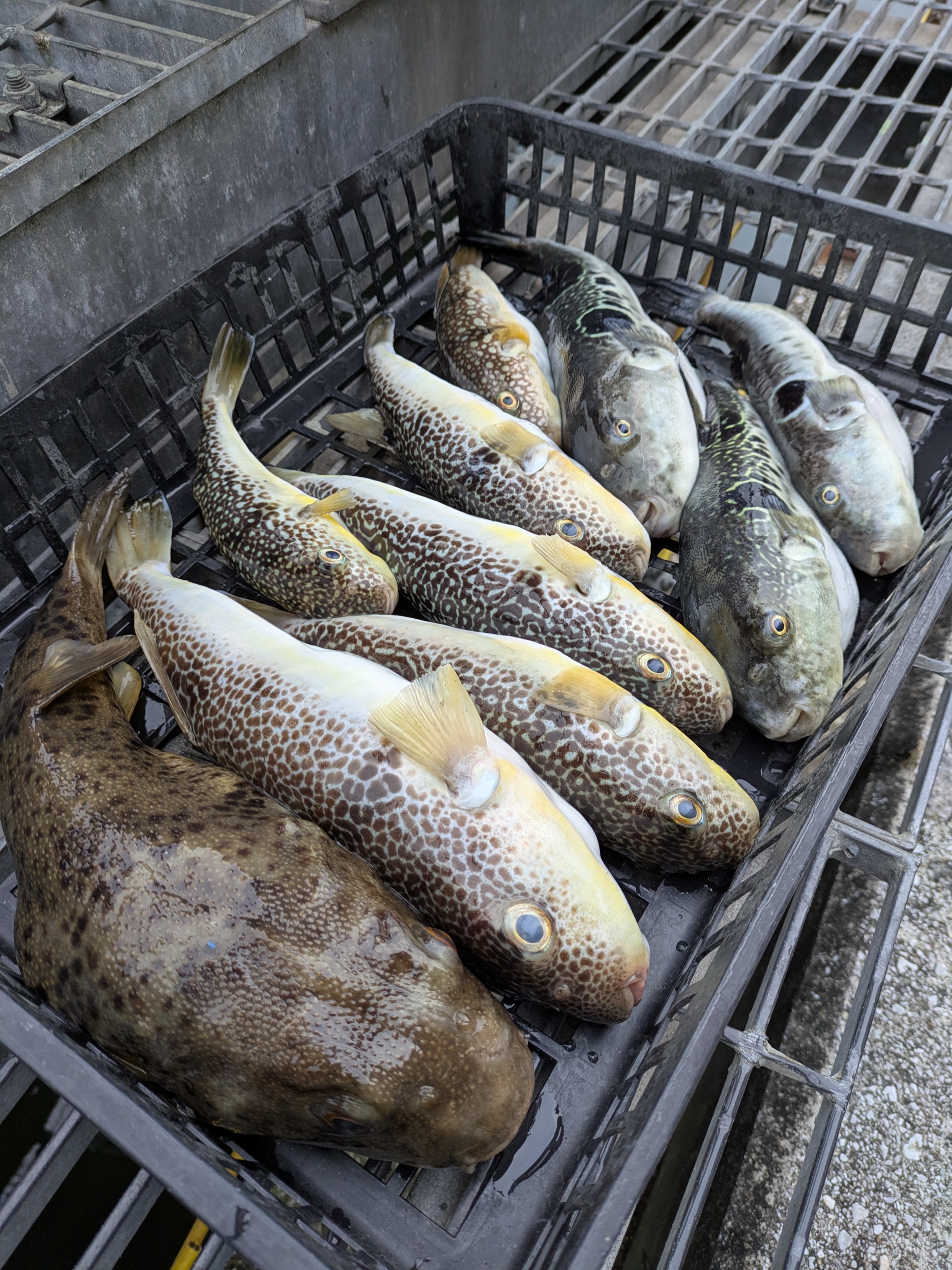 PXL_20251213_070819267