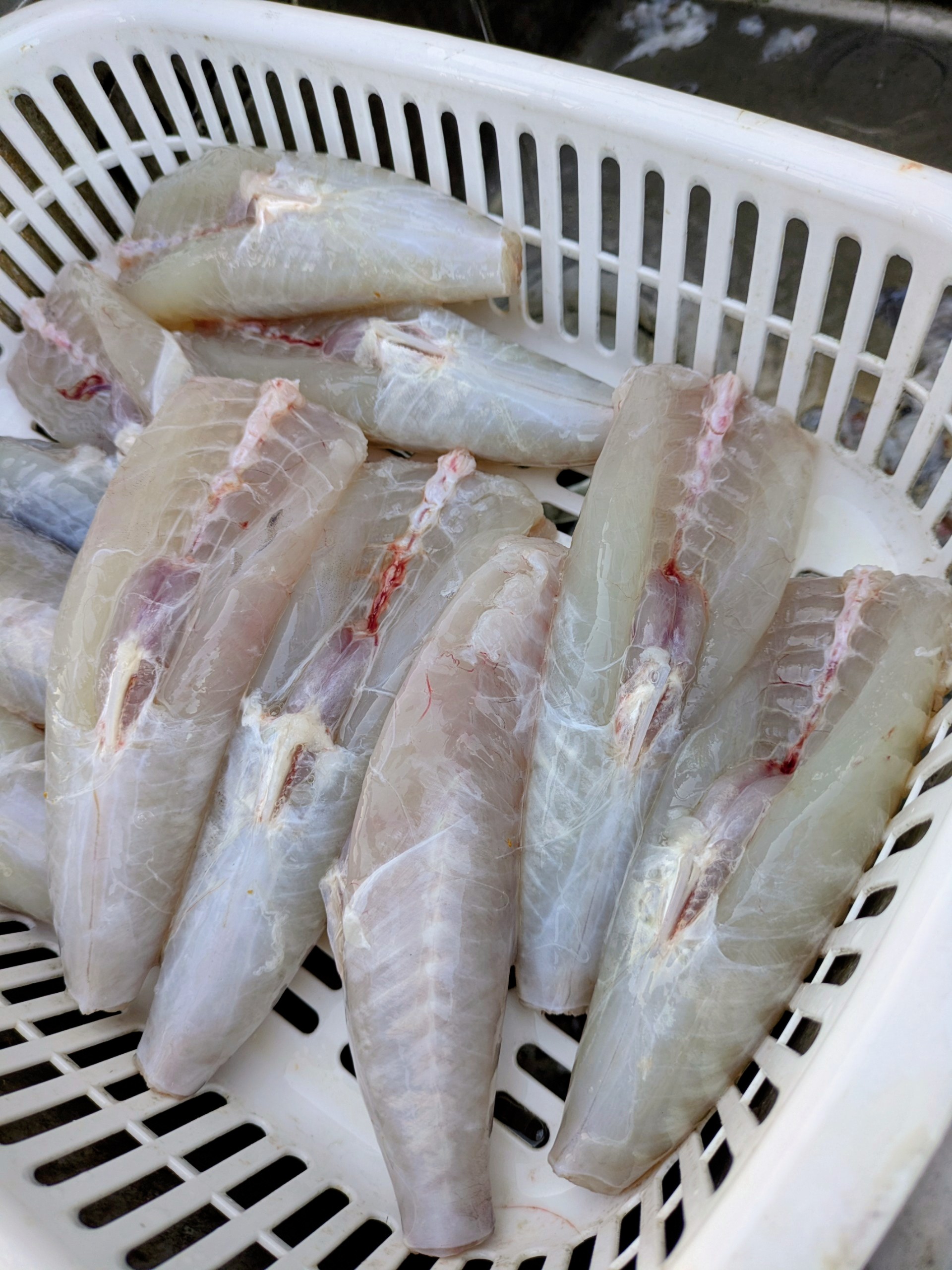 PXL_20260117_071708671~2