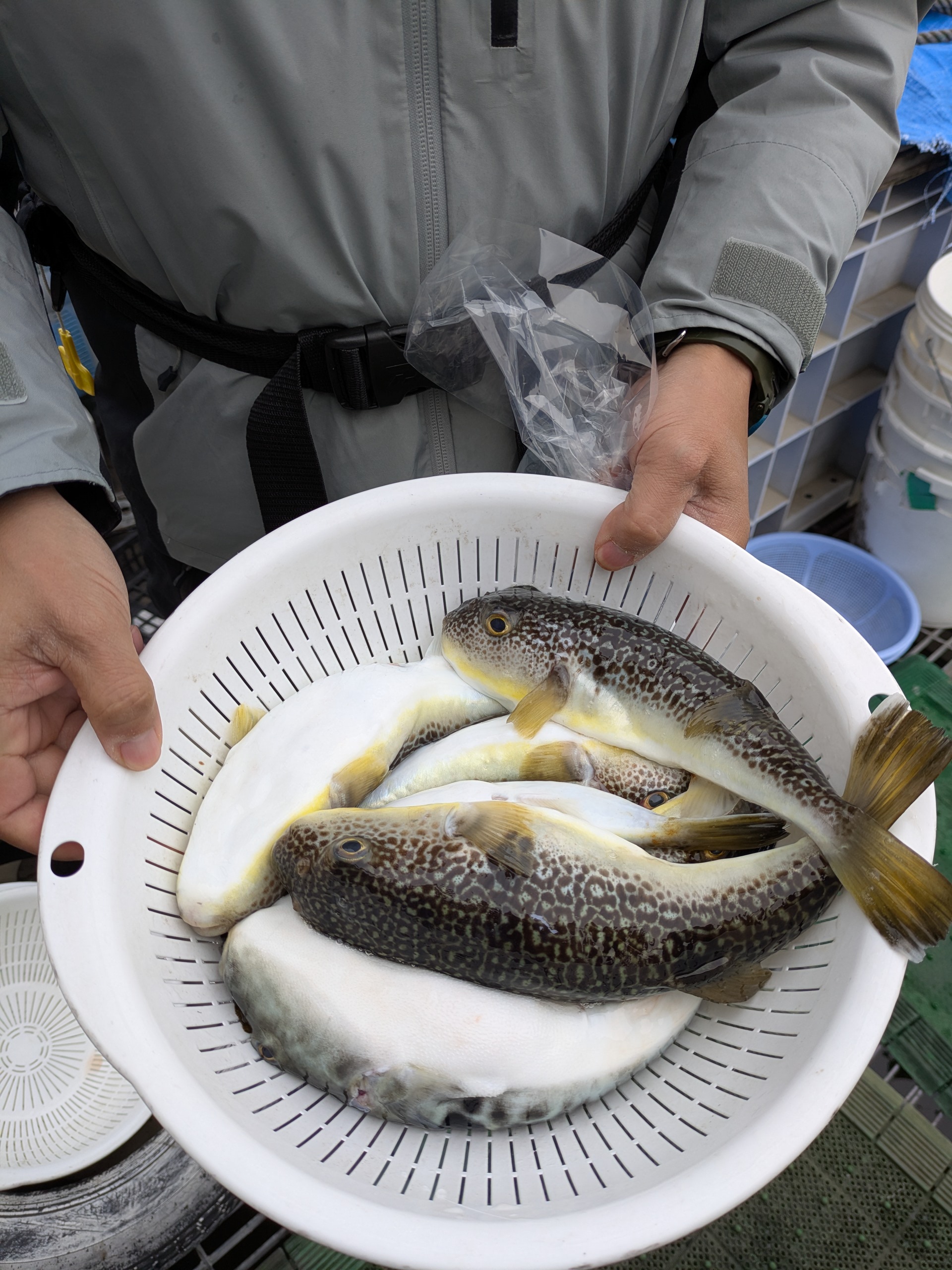 PXL_20260214_071011147